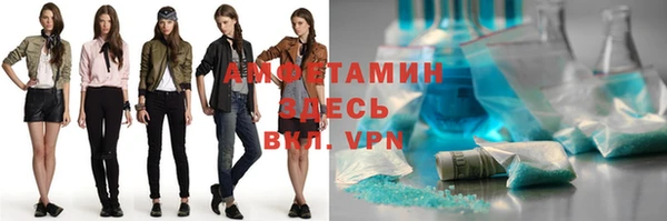 стаф Алзамай