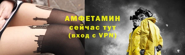 стаф Алзамай