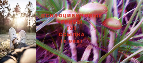 прущая мука Покачи