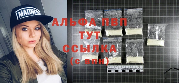 стаф Алзамай