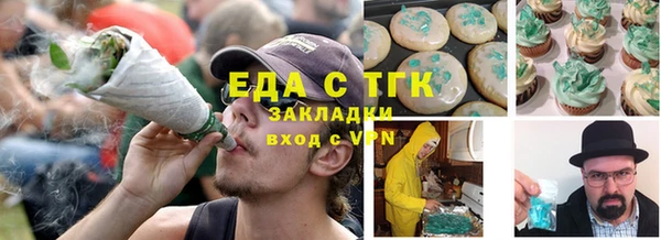 стаф Алзамай