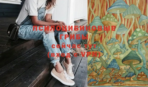 стаф Алзамай