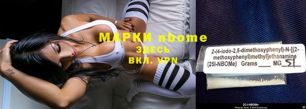 стаф Алзамай