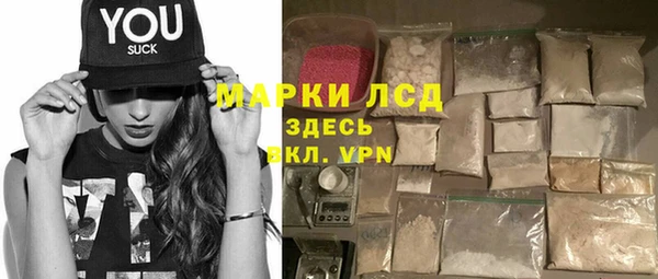 стаф Алзамай